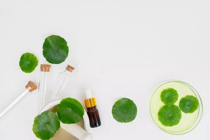 centella skincare © 2024 freepik.com centella skincare © 2024 freepik.com
