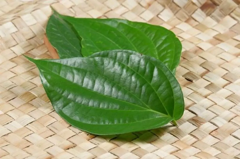 Rahasia wajah awet muda Yuni Shara di usia 52 tahun pakai 3 bahan alami Berbagai sumber Rahasia wajah awet muda Yuni Shara di usia 52 tahun pakai 3 bahan alami Berbagai sumber