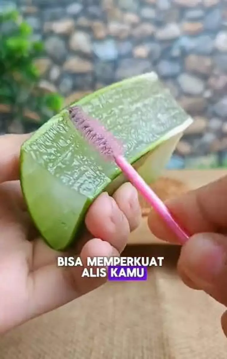 Trik lebatkan alis secara alami cuma pakai 1 jenis tanaman Berbagai sumber