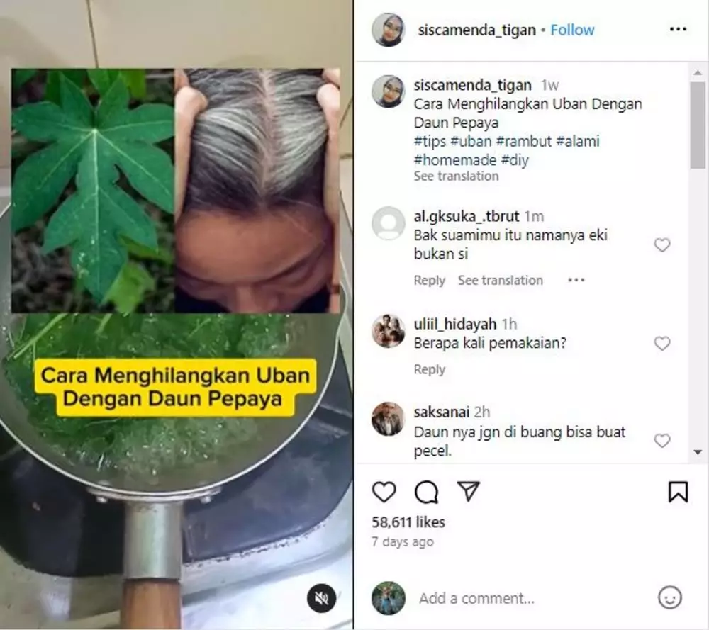 Rebusan daun pepaya dan 1 jenis buah bisa hilangkan uban dan ketombe Berbagai sumber