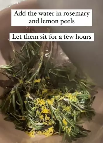 Daun rosemary dicampur 1 jenis buah bisa atasi rambut lepek dan berminyak Berbagai sumber Daun rosemary dicampur 1 jenis buah bisa atasi rambut lepek dan berminyak Berbagai sumber