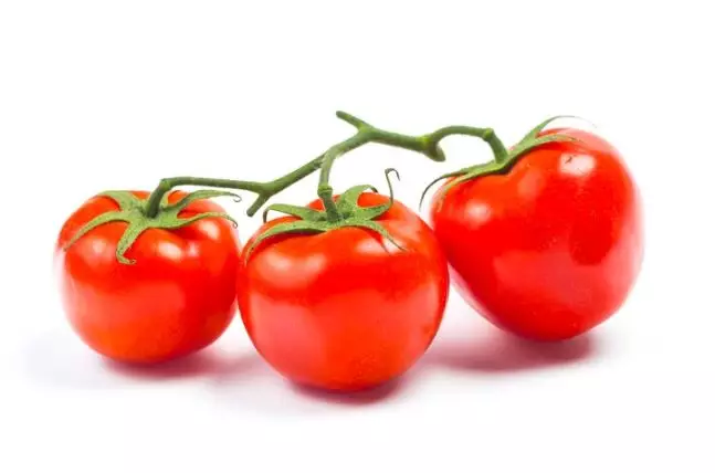 <img style= <img style=