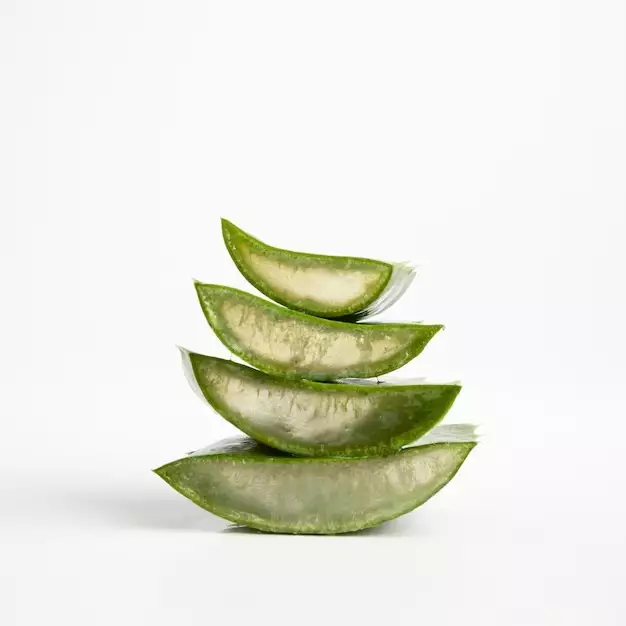 <img style= <img style=