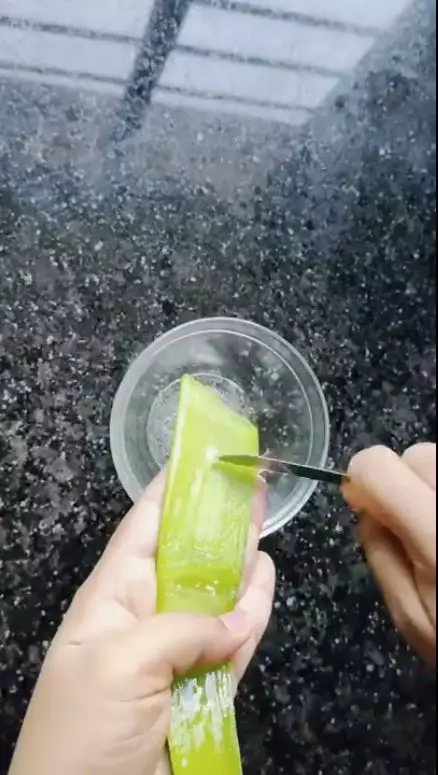 <img style= <img style=