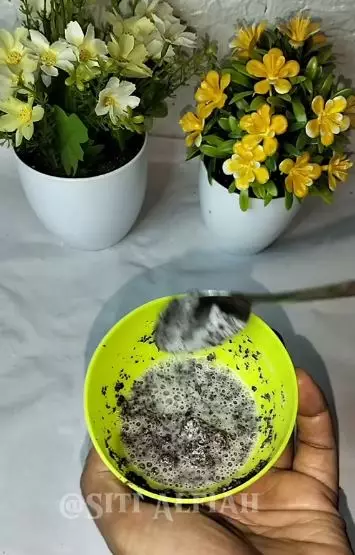 Trik menghitamkan rambut beruban cuma pakai 1 jenis ampas dapur Berbagai sumber