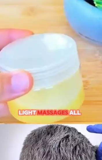 Cara mengurangi tumbuhnya uban pakai lemon dicampur 1 jenis minyak Berbagai sumber Cara mengurangi tumbuhnya uban pakai lemon dicampur 1 jenis minyak Berbagai sumber