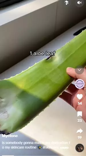 Satu jenis tanaman bisa atasi dark circle serta kerutan area mata Berbagai sumber Satu jenis tanaman bisa atasi dark circle serta kerutan area mata Berbagai sumber