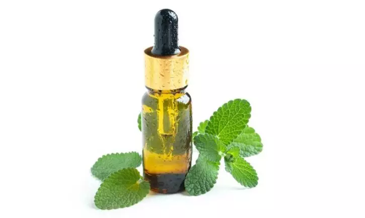 Hempas plak gigi kuning dan bau mulut pakai 2 minyak esensial Berbagai sumber Hempas plak gigi kuning dan bau mulut pakai 2 minyak esensial Berbagai sumber