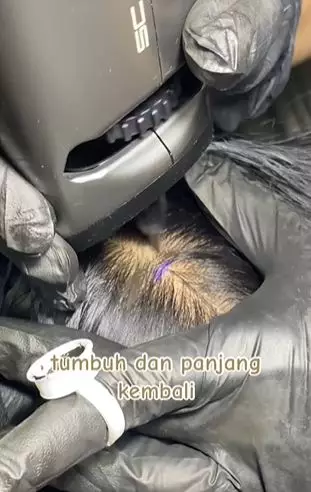 Transformasi cewek botak depan usai di styling hasilnya bak beda orang TikTok Transformasi cewek botak depan usai di styling hasilnya bak beda orang TikTok