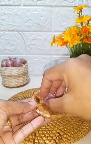 Lidah buaya dicampur 1 bumbu dapur efektif lebatkan alis super tipis Berbagai sumber