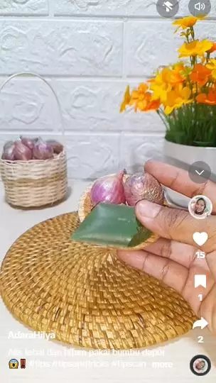 Lidah buaya dicampur 1 bumbu dapur efektif lebatkan alis super tipis Berbagai sumber