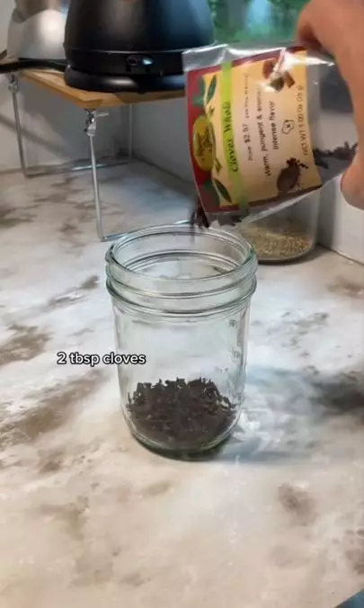 Obat kumur plak dan bau mulut dari 2 rempah Berbagai sumber