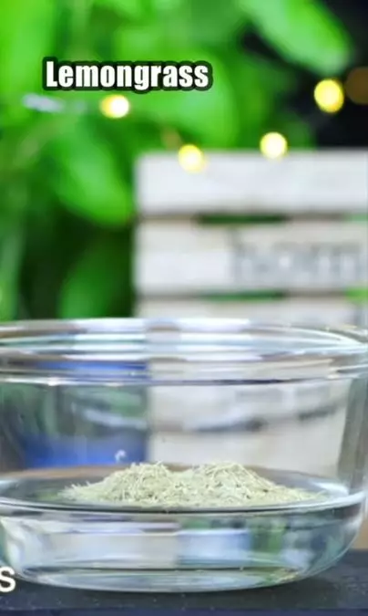 Atasi penuaan dini pada wajah dengan 1 daun penyedap Berbagai sumber Atasi penuaan dini pada wajah dengan 1 daun penyedap Berbagai sumber