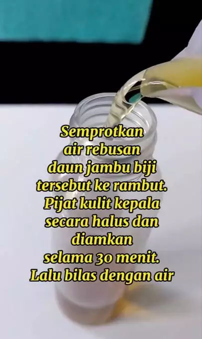 Cegah uban agar tak tumbuh lagi pakai 1 jenis daun Berbagai sumber Cegah uban agar tak tumbuh lagi pakai 1 jenis daun Berbagai sumber