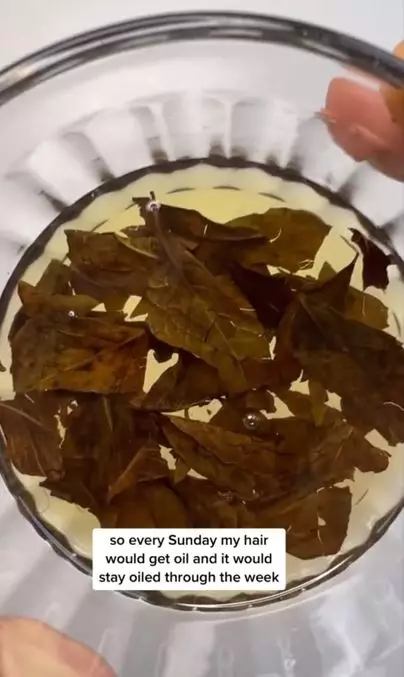 Cegah rontok dan uban pakai 1 jenis daun  Berbagai sumber