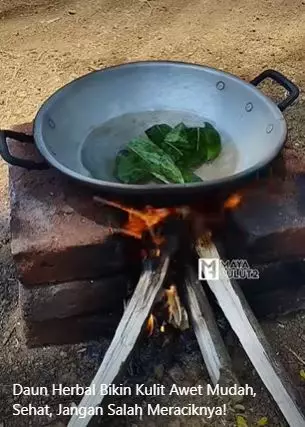 Atasi wajah keriput agar awet muda pakai daun mengkudu Berbagai sumber Atasi wajah keriput agar awet muda pakai daun mengkudu Berbagai sumber