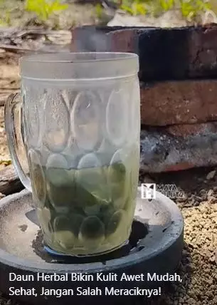 Atasi wajah keriput agar awet muda pakai daun mengkudu Berbagai sumber Atasi wajah keriput agar awet muda pakai daun mengkudu Berbagai sumber