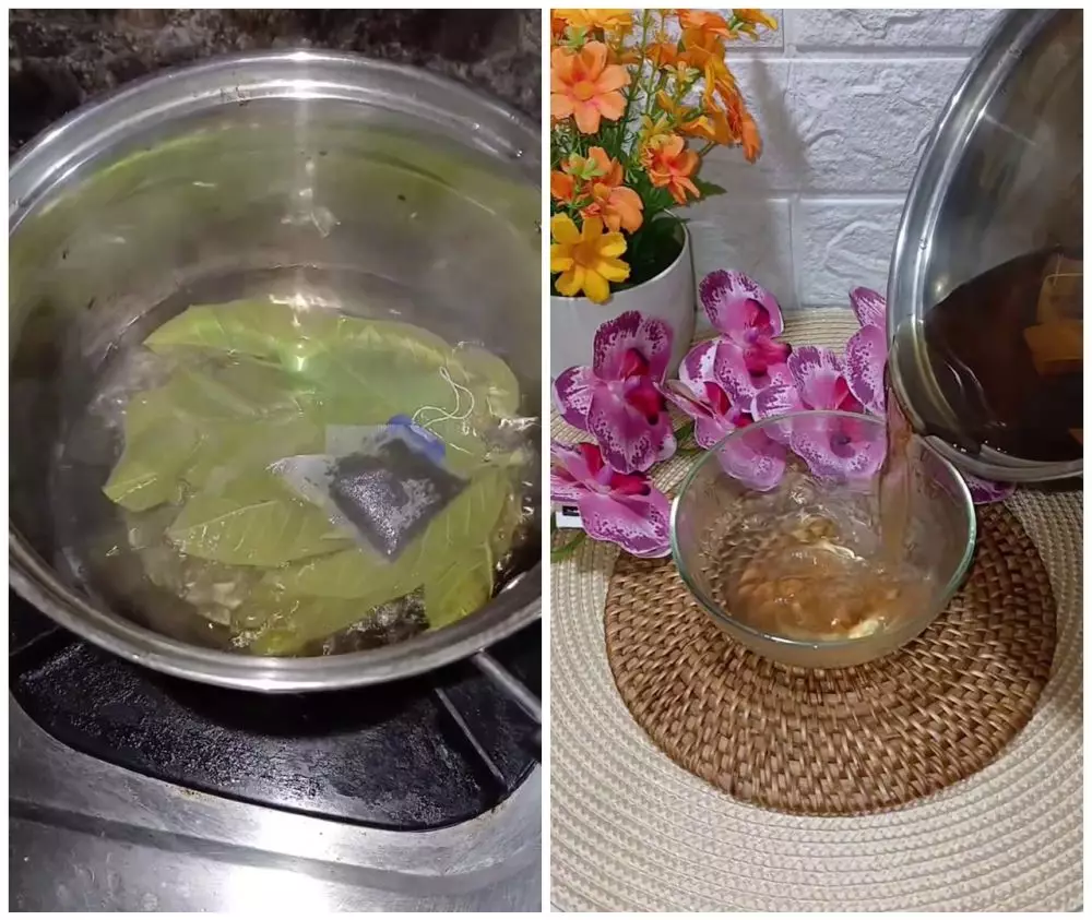 trik menghitamkan uban daun jambu biji © Instagram