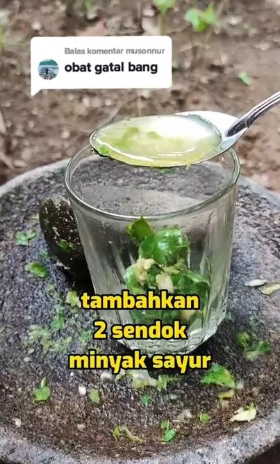 Cara mengatasi gatal-gatal pada kulit pakai 3 bahan alami Berbagai sumber Cara mengatasi gatal-gatal pada kulit pakai 3 bahan alami Berbagai sumber