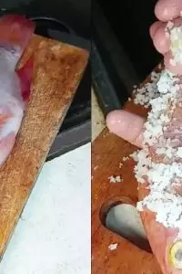 Tak perlu susah payah dikerik pakai pisau, ini cara praktis bersihkan sisik ikan tanpa alat